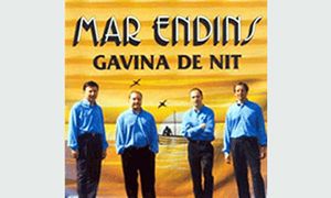 Gavina de nit musica en viu